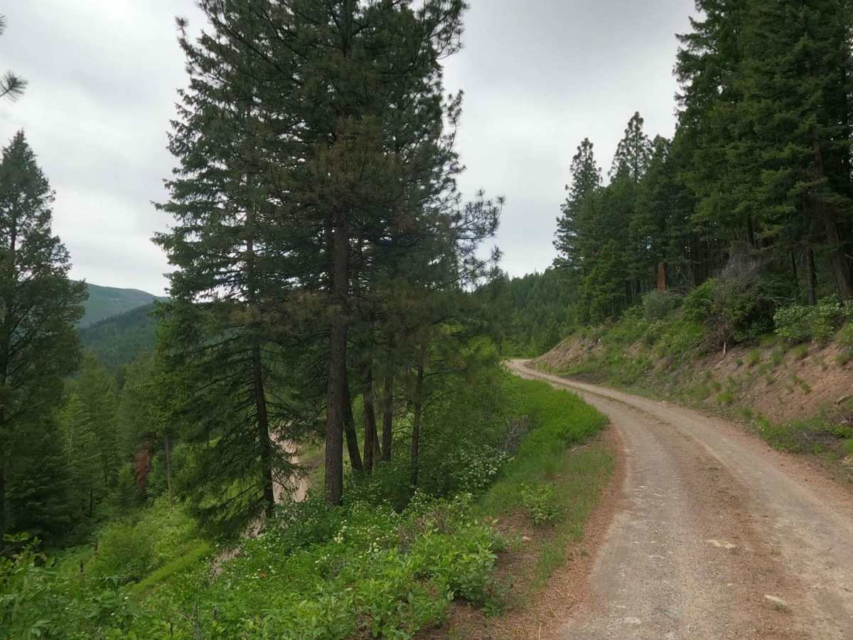 West Fork Petty Creek Road 22 photo 5