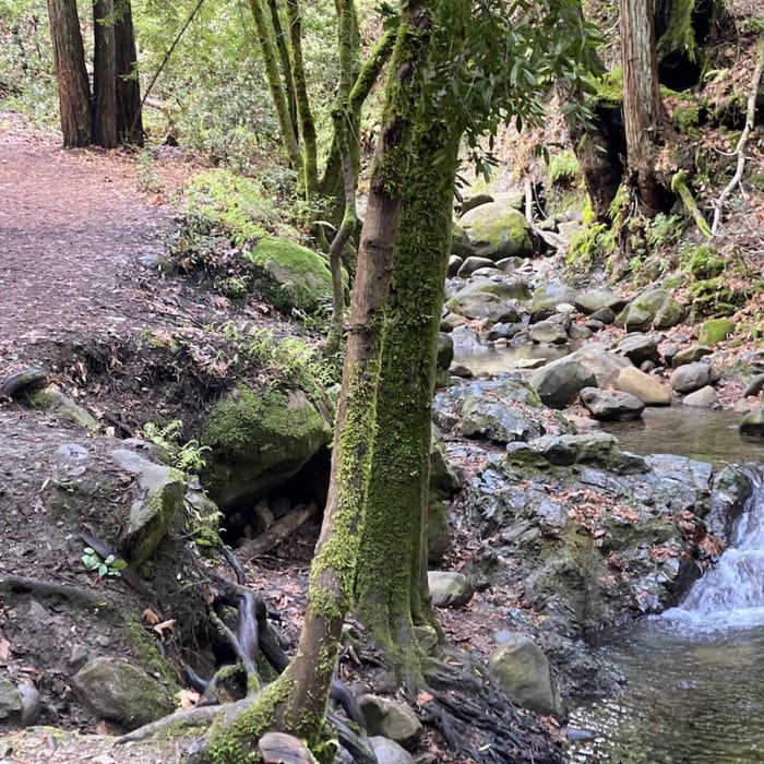 Near Saratoga to the Sea: Saratoga Quarry Park to Sanborn Park
