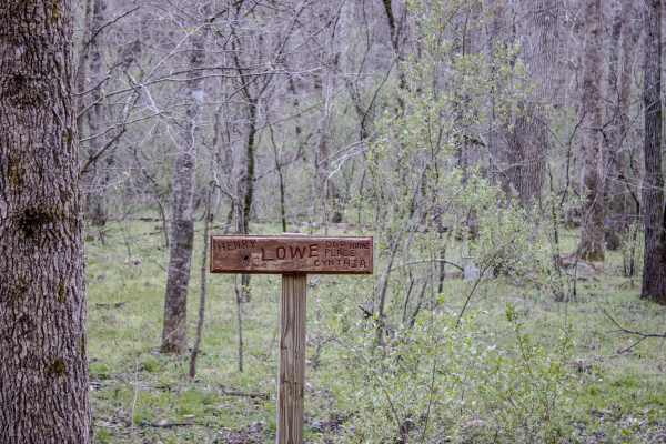 Lowe Cemetary Road