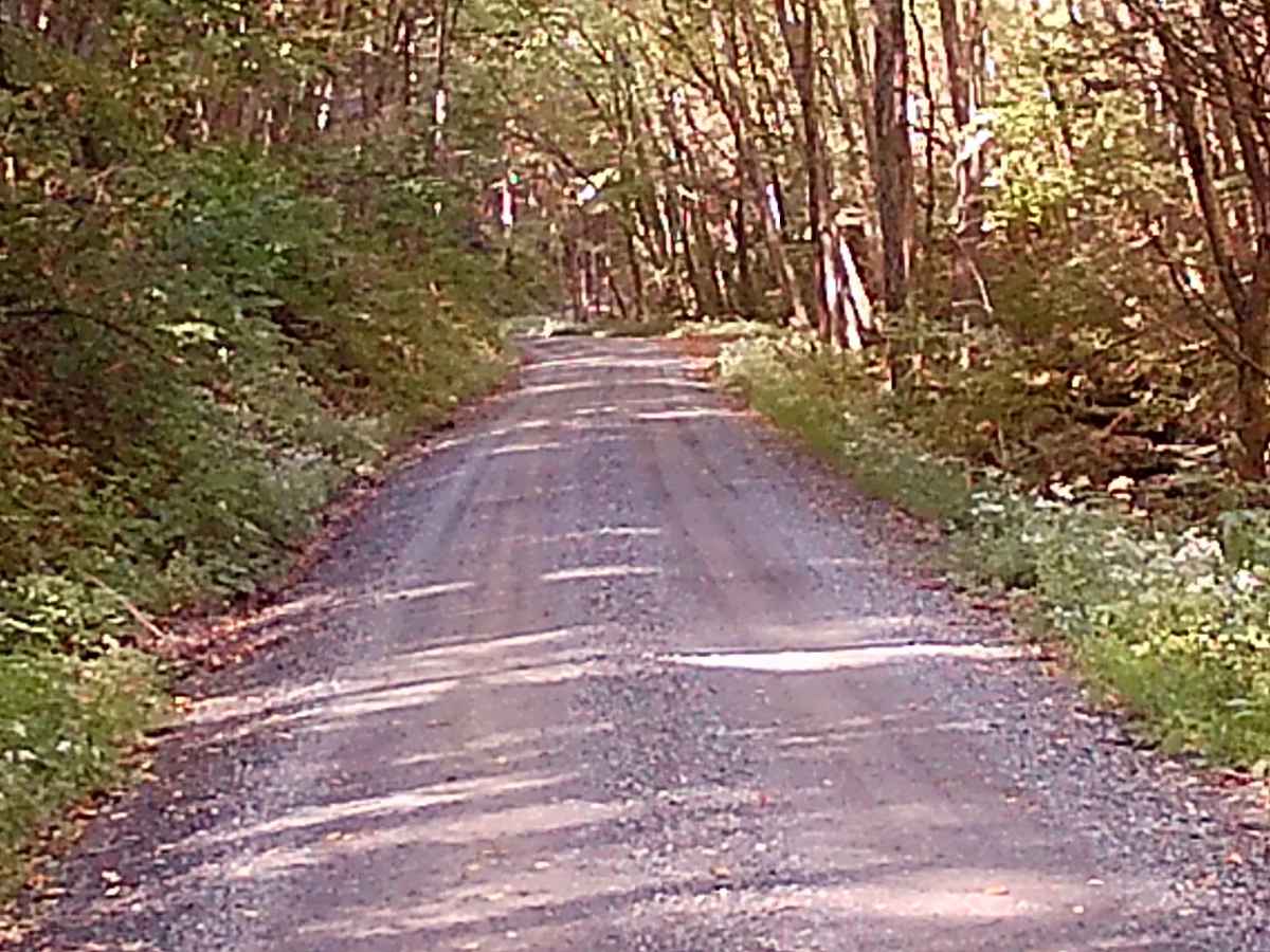 Swift Run Road photo 2