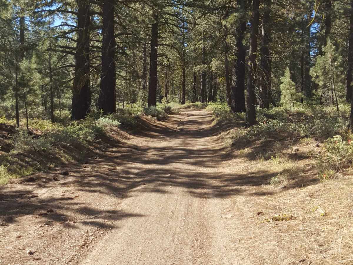 East Frazier Road - FS 8N24 photo 5