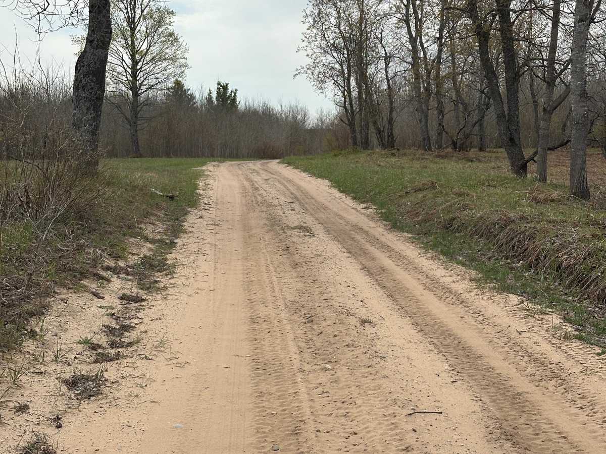 Sand Lake Road  photo 3