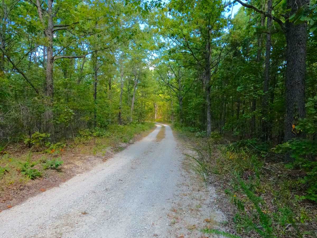 Hickory Grove Church - FS 2454 photo 4