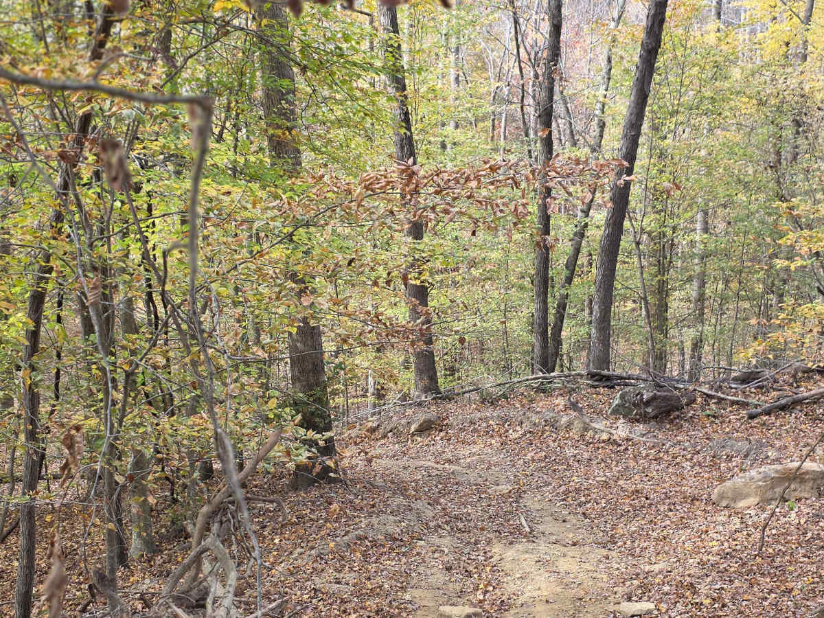 Ridgeside photo 6