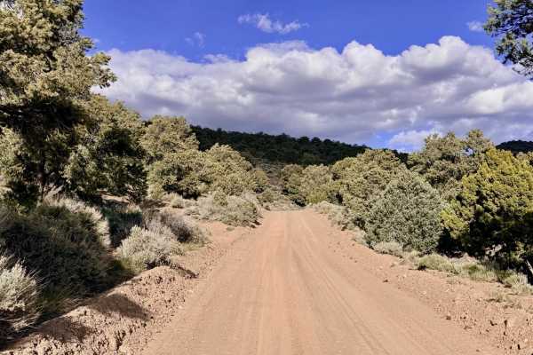 Salisbury Mountain Road - FS 44450