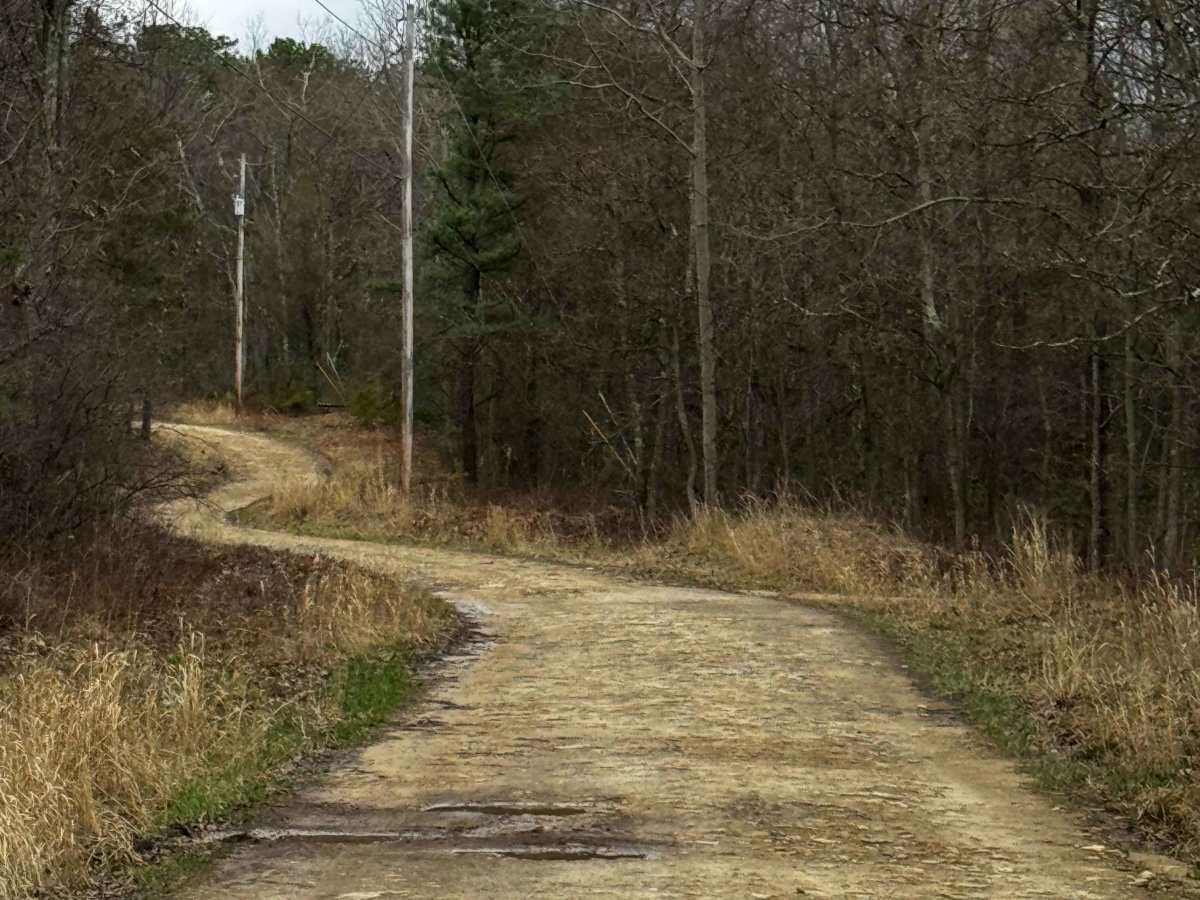 Salt Lick Trail photo 4