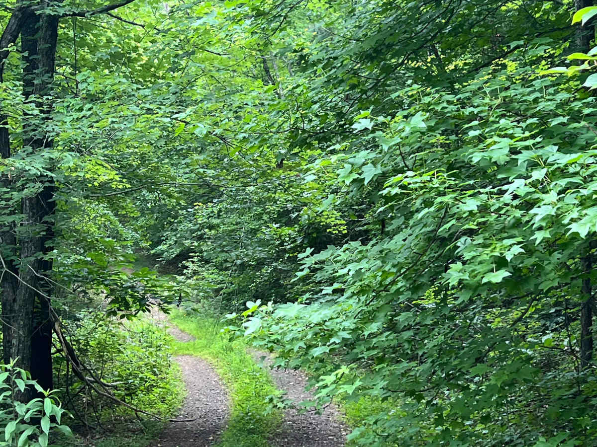 Mikles Run - FS 94364A photo 3