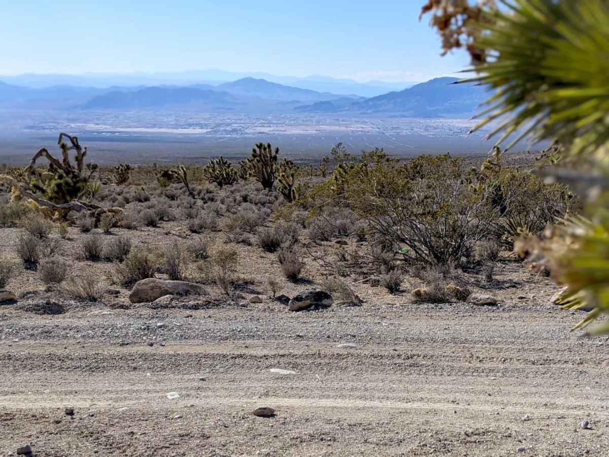 Hughes Cabin-Horse Springs Road photo 5