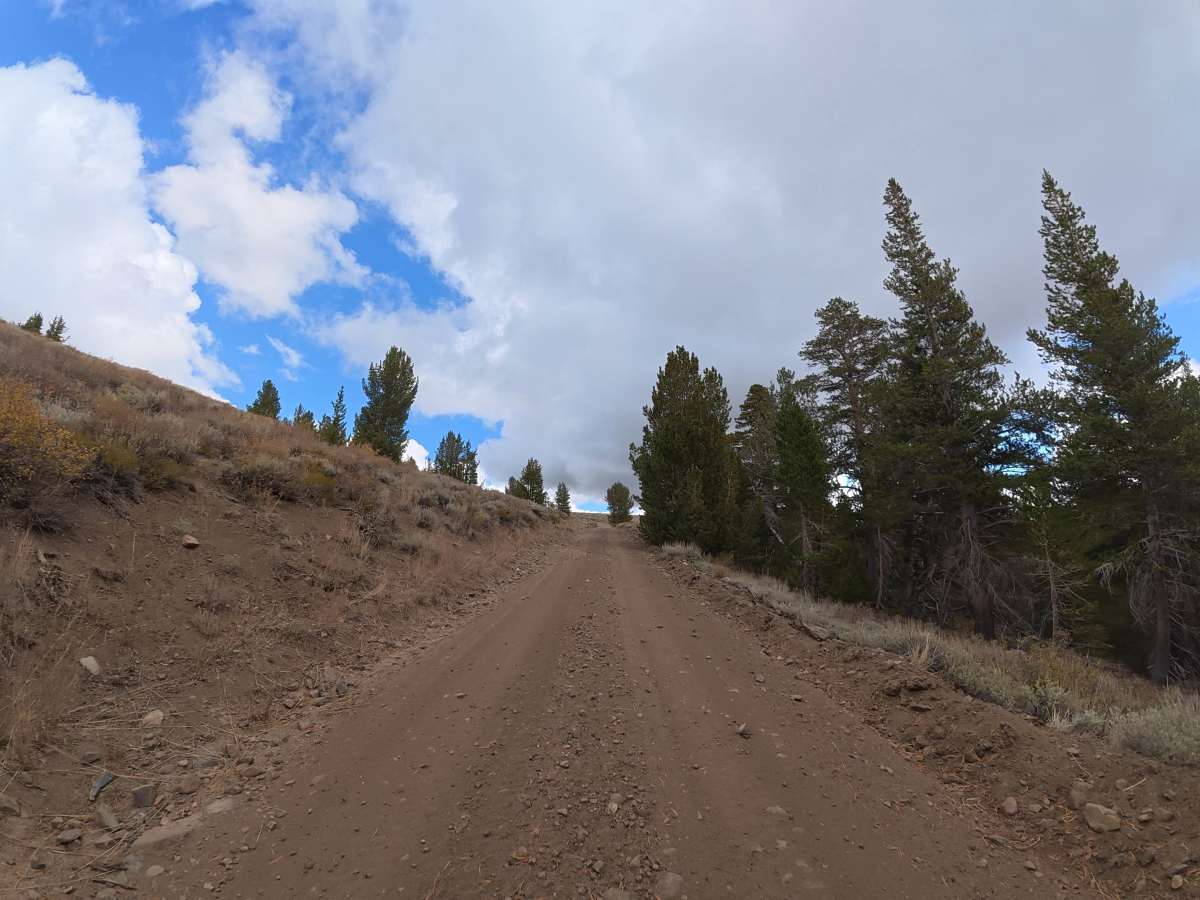Wolf Creek photo 5