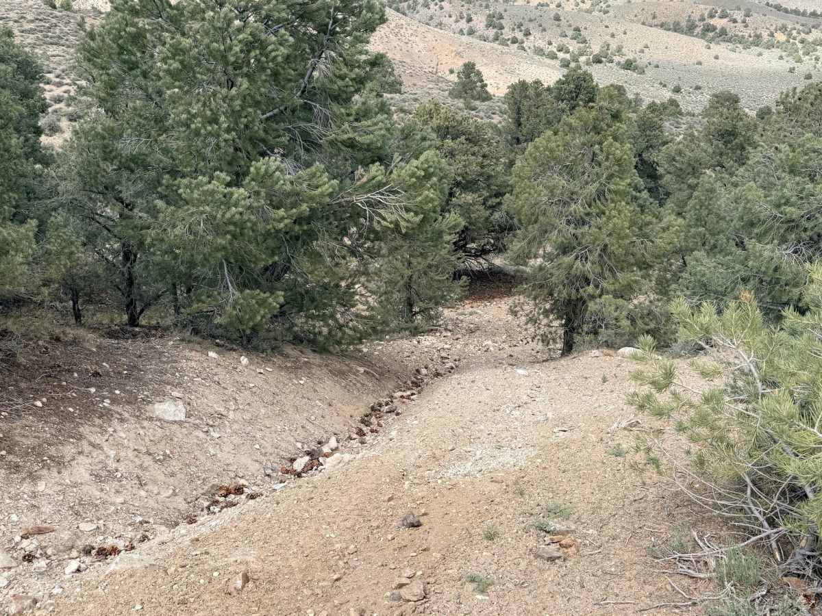 Lynch Creek Loop - FS 43275 photo 3