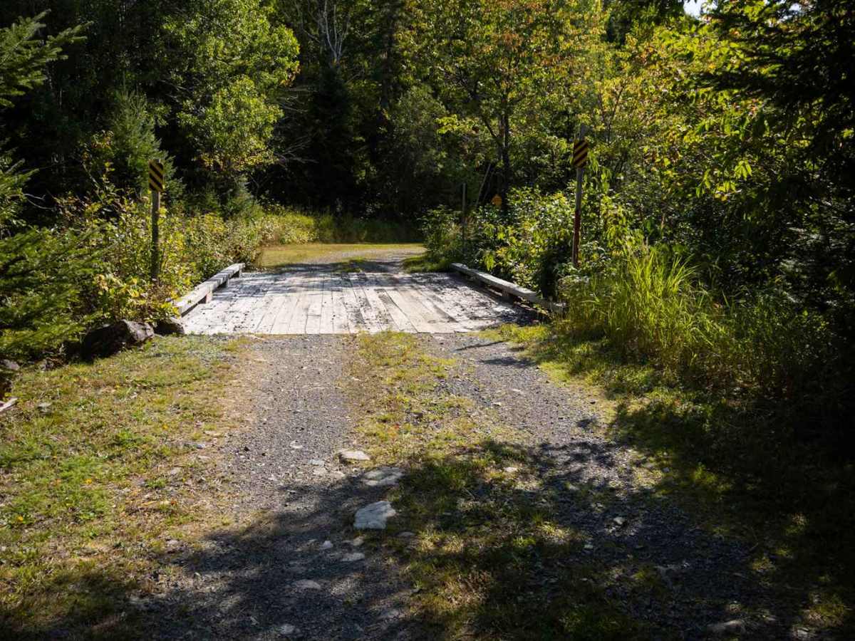 Whitebirch Road A - Trail 22 photo 2