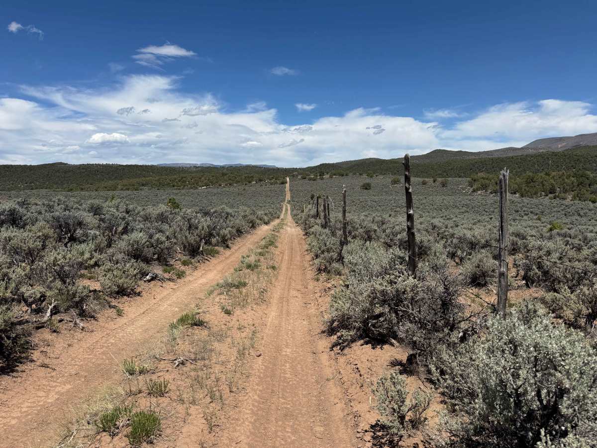 BLM 8482 photo 3