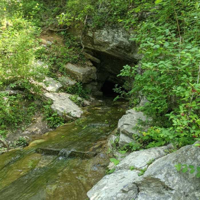 Near Cedar Creek Trail