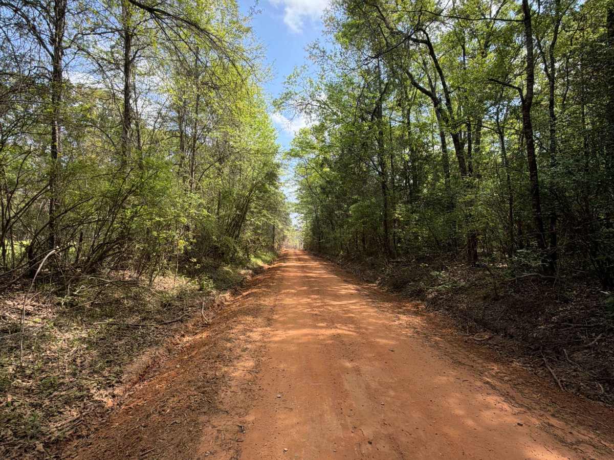 Overstreet Road photo 3