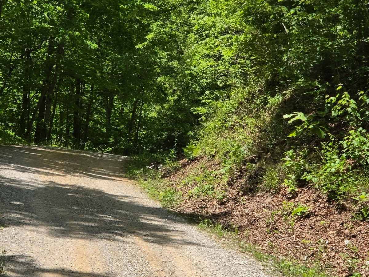 Felty Road trail photo