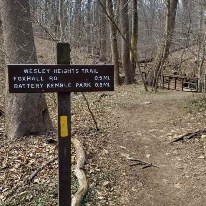 Near Glover-Archbold Trail