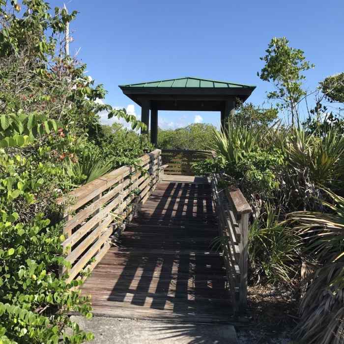 Viewing deck at the end of Paw Paw trail. Near Little Blue Heron Nature Trail