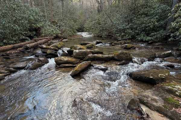Timpson Creek - FS 162
