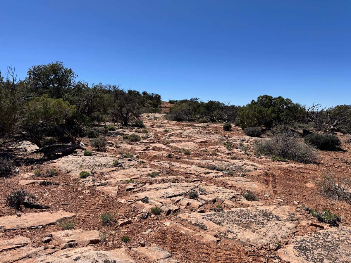 Richardson Overlook photo 5