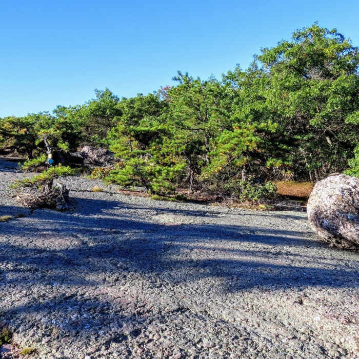 Near Schunnemunk Highlight - Otterkill to Megalith Loop