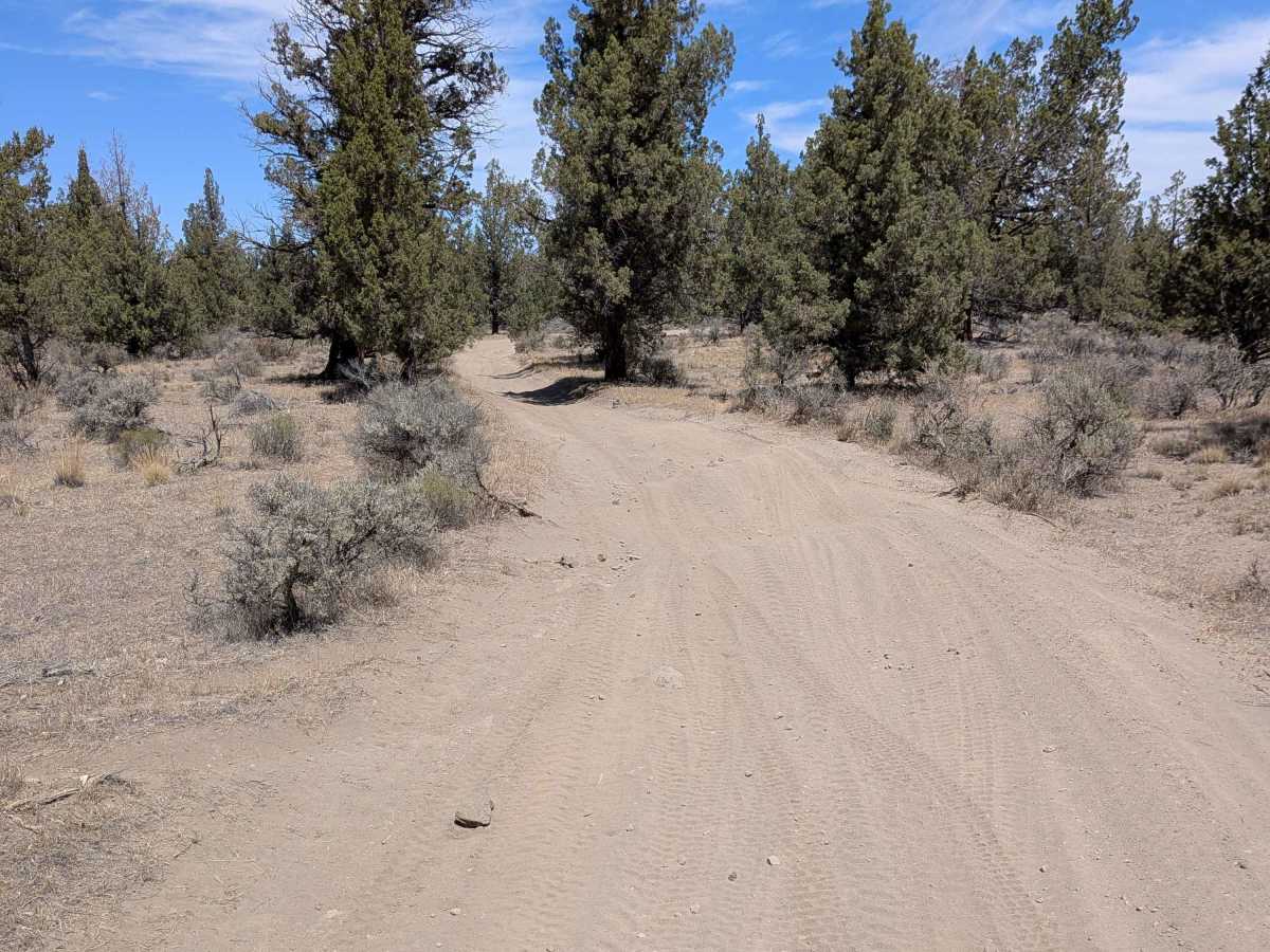 Cline Buttes OHV Trail 27 North photo 4