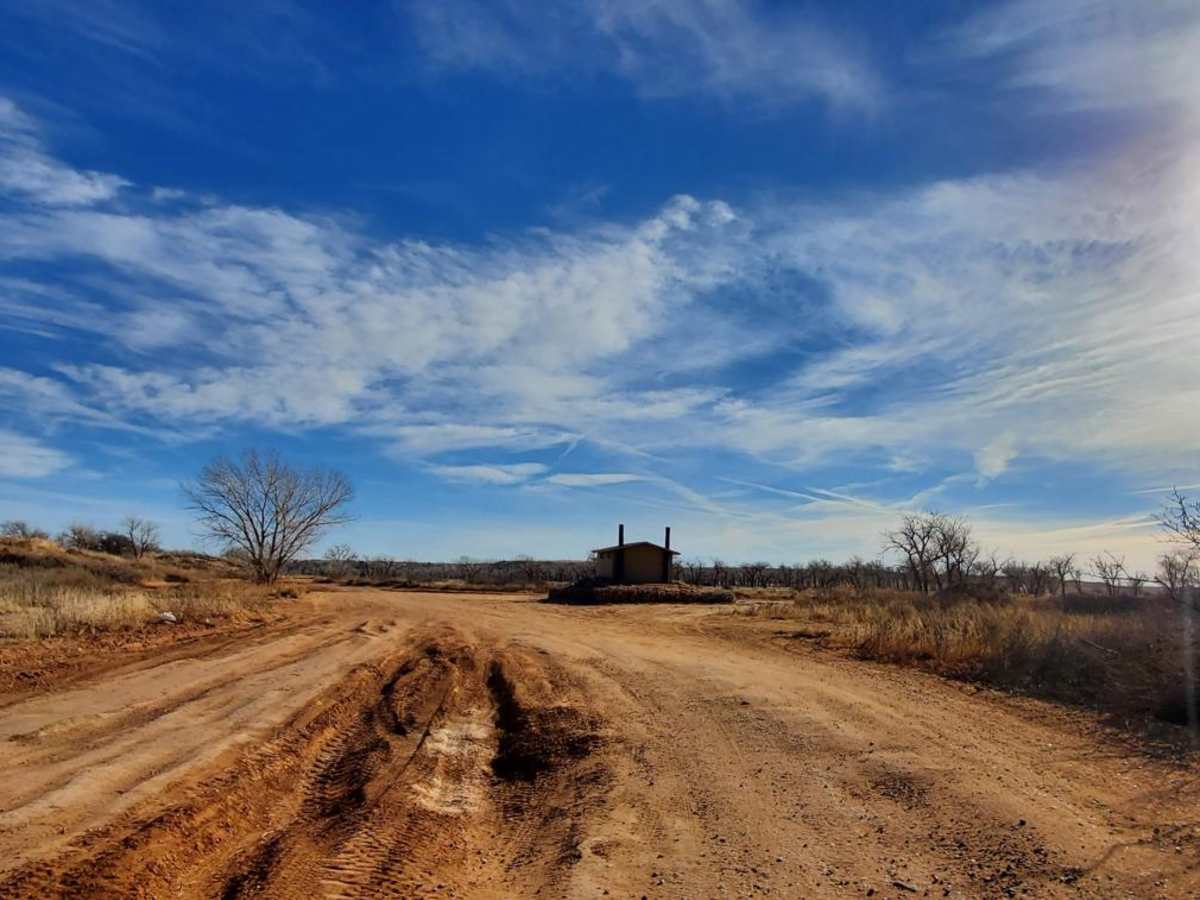 The Main Road photo 5