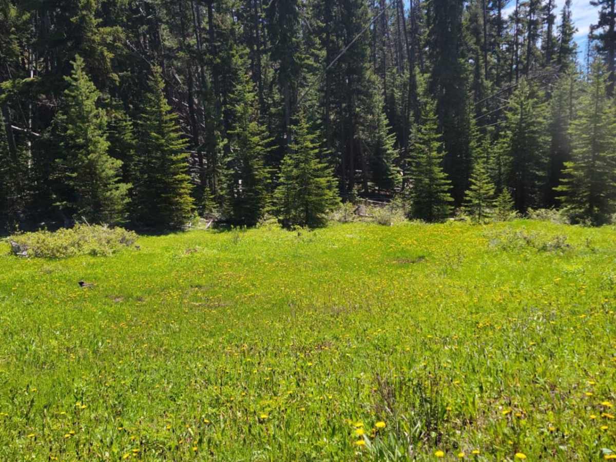 Iron Mountain photo 6