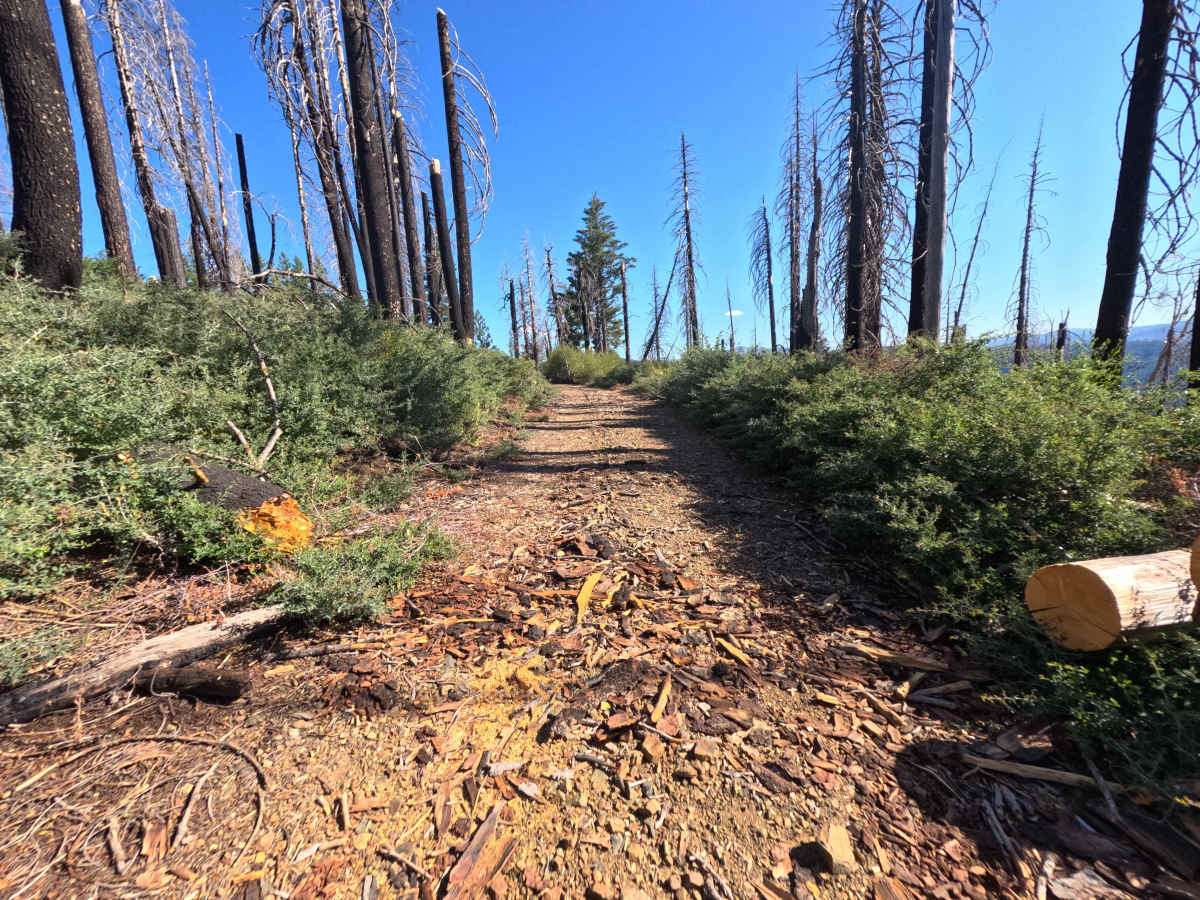 East Government Creek - FS 23N27 trail photo