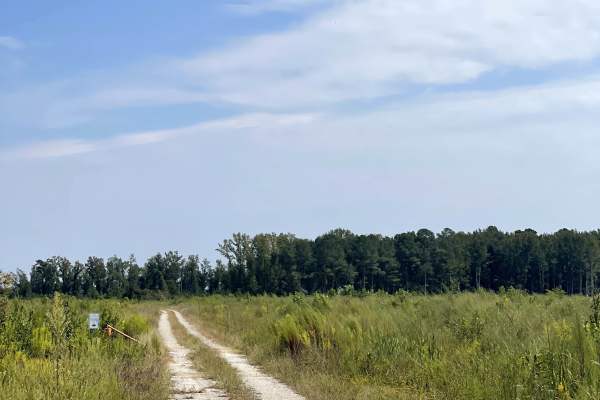 Williams Road
