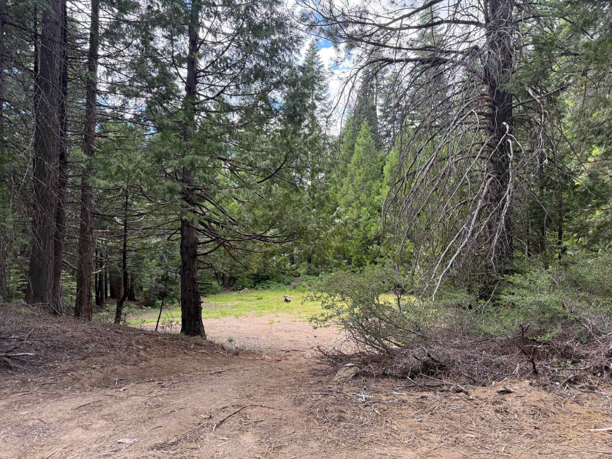 Driscoll Cabin Rd - FS 12N40 photo 6
