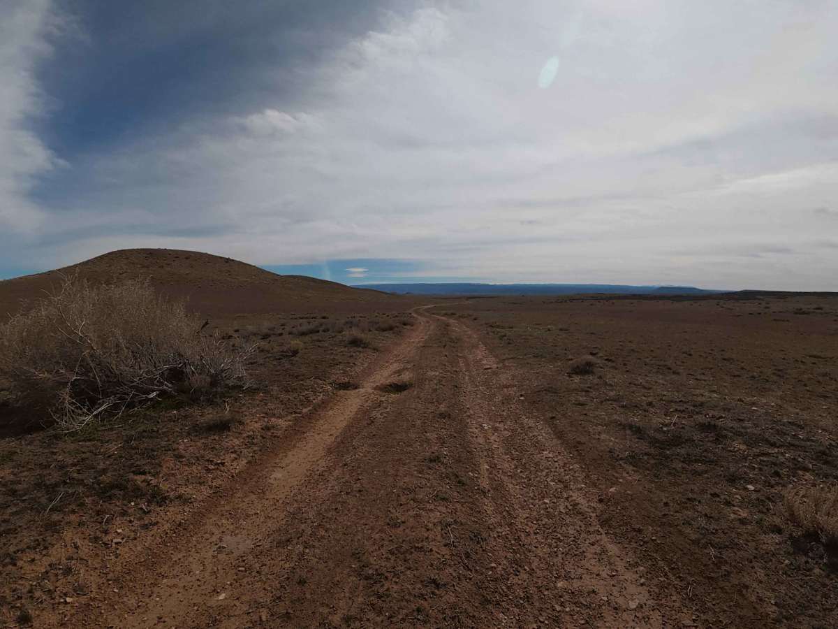 BLM 125 photo 3