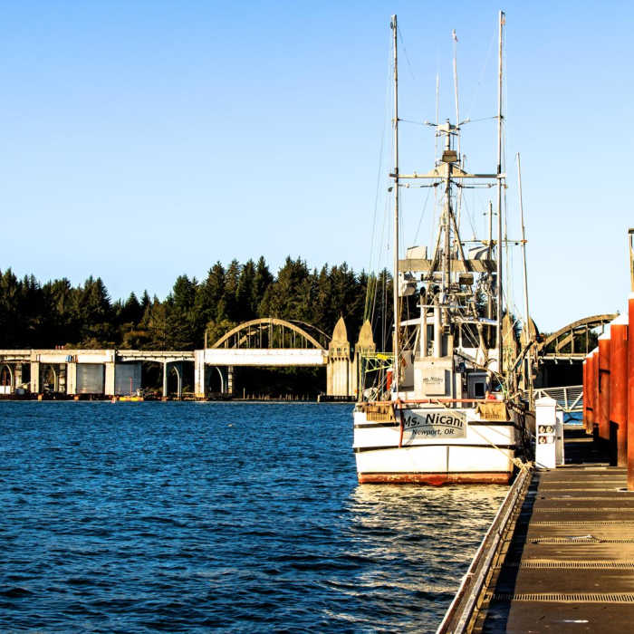 Near Oregon Coast Trail Section 6