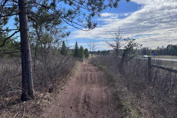 Sandy Pines Trail