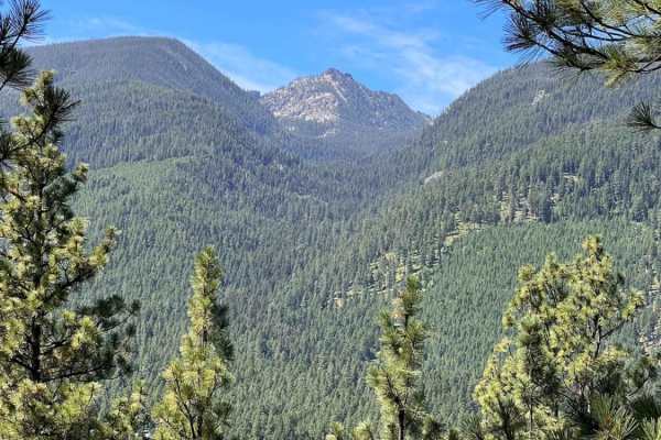 Tin Cup Creek