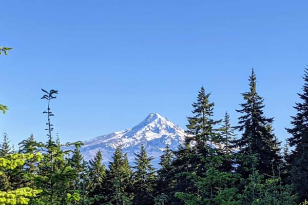 Mount Defiance - NF 2821000