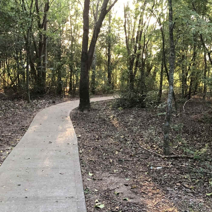 Near McClendon Park Loop