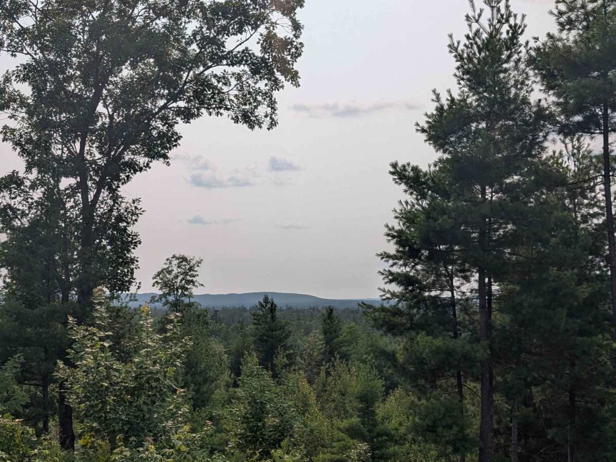 Borderline Lookout Trail photo 5