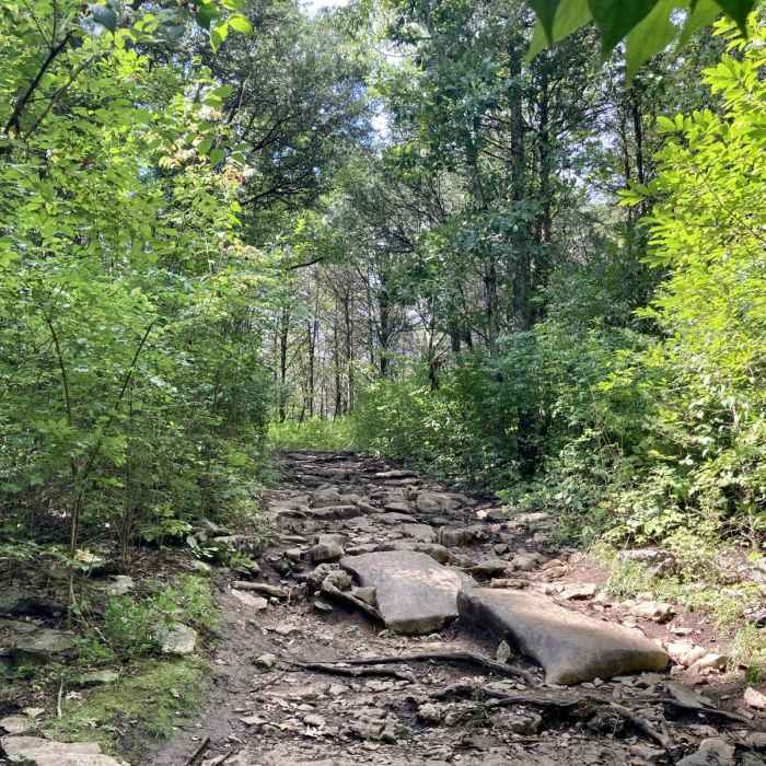 Near Black, Blue, Green, and Red Trails