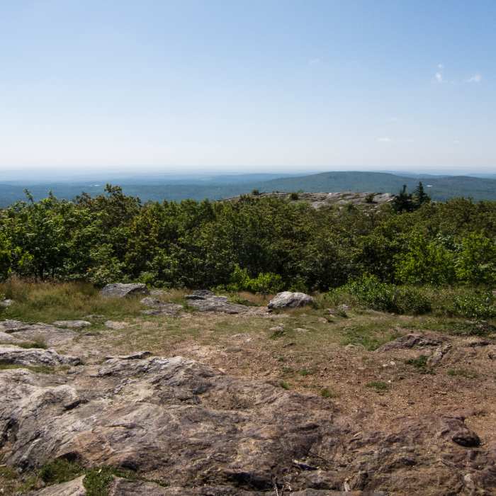 Near Mount Watatic and Nutting Hill Loop