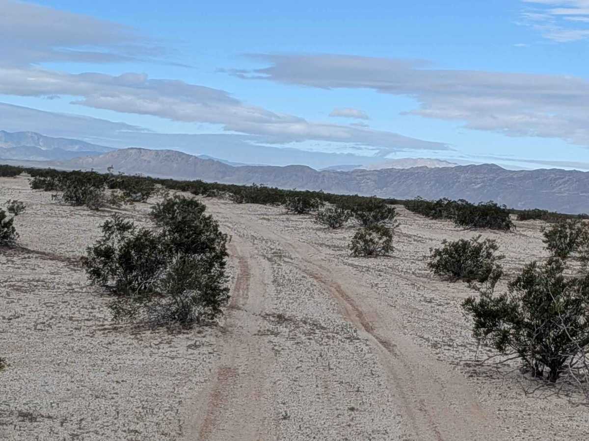 BLM 343 photo 5