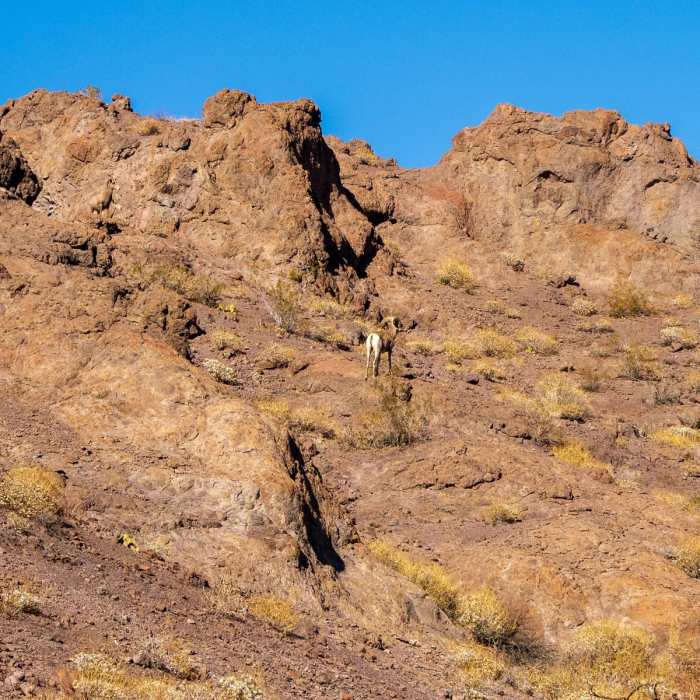 Near Liberty Bell Arch Near Liberty Bell Arch