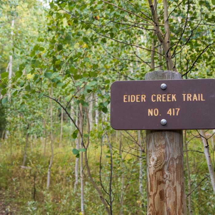 Near Eider Creek Trail