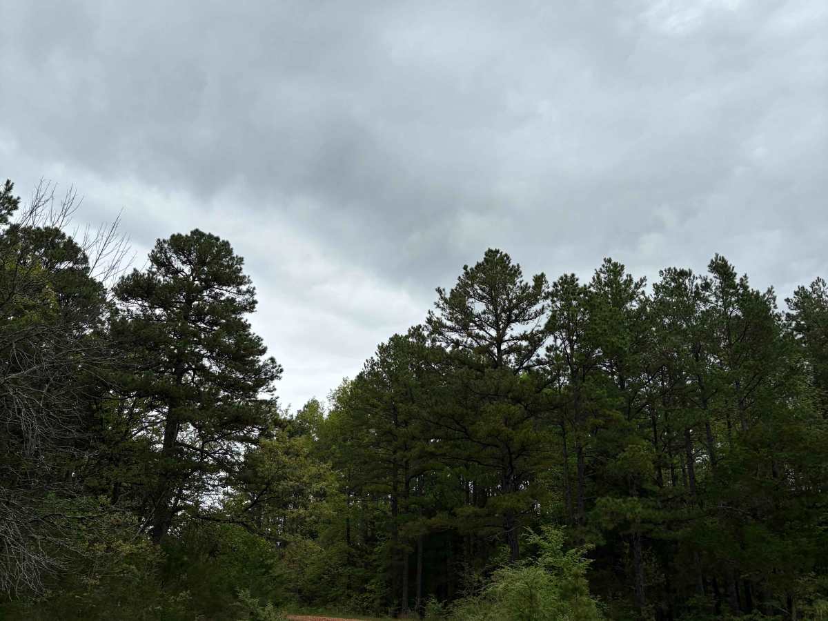 OHT Twin Creek  trail photo
