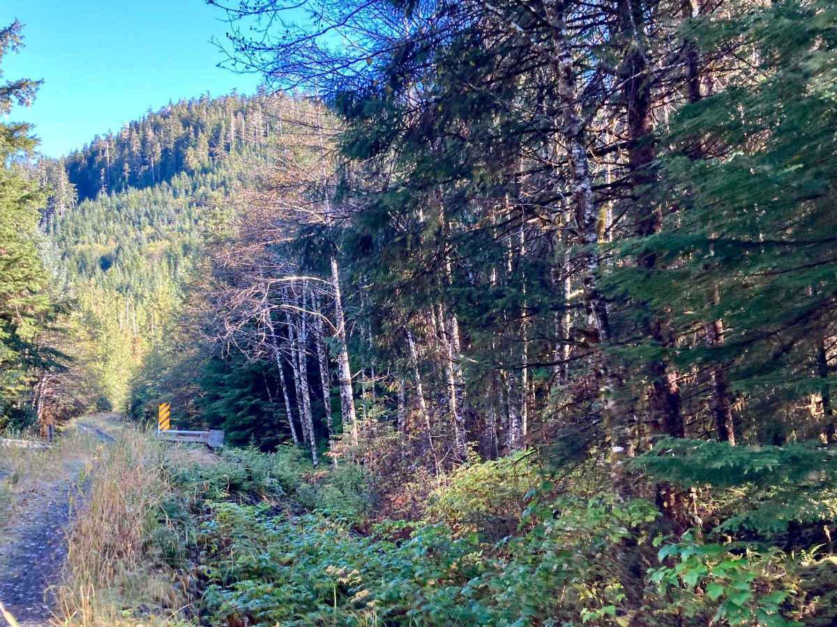 Echo Spur Road - FS 3015600 photo 3