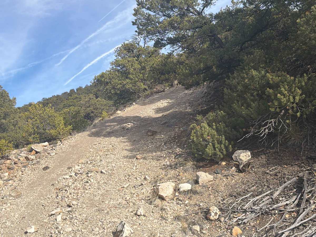 BLM 5971 photo 6