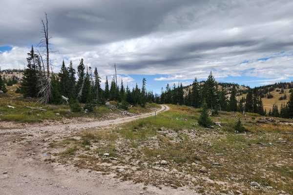 Island Lake Campground - FS 50136