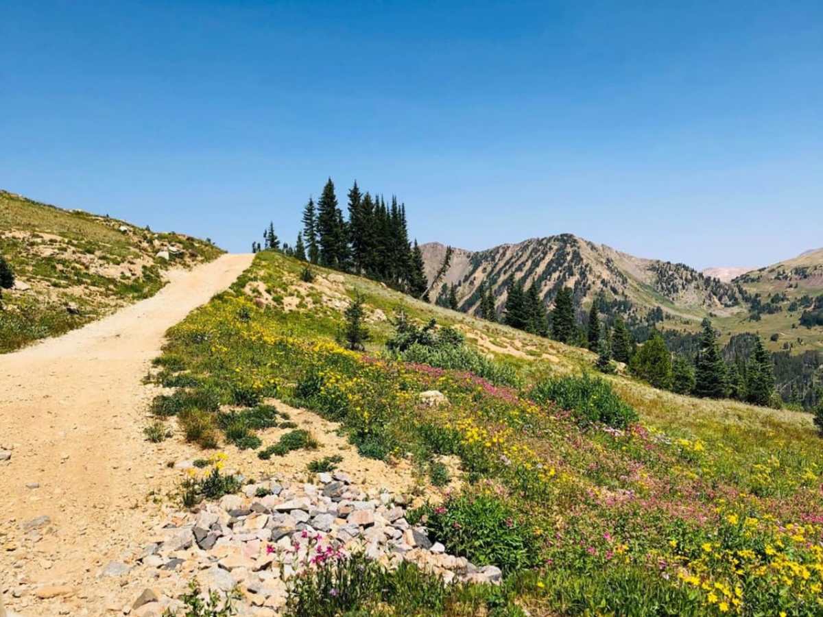 Henderson Mountain Road photo 3