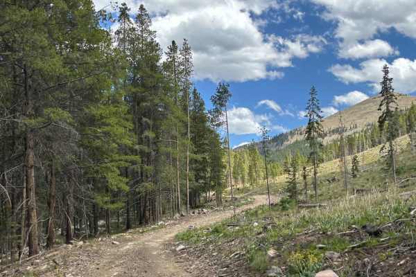 Sellar Lake Road