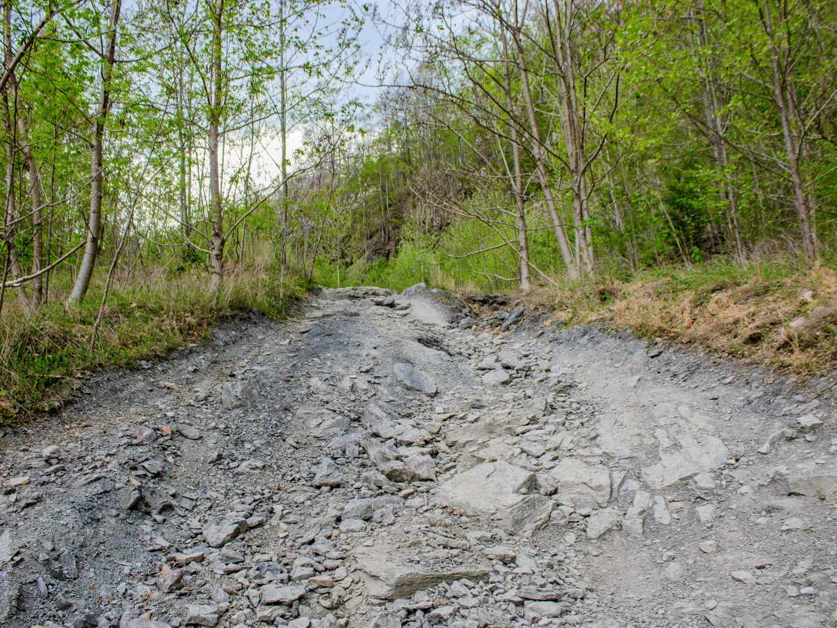 S8 Trail trail photo