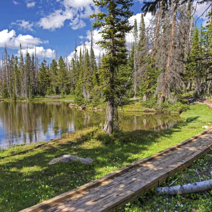 Near Clyde Lake Trail